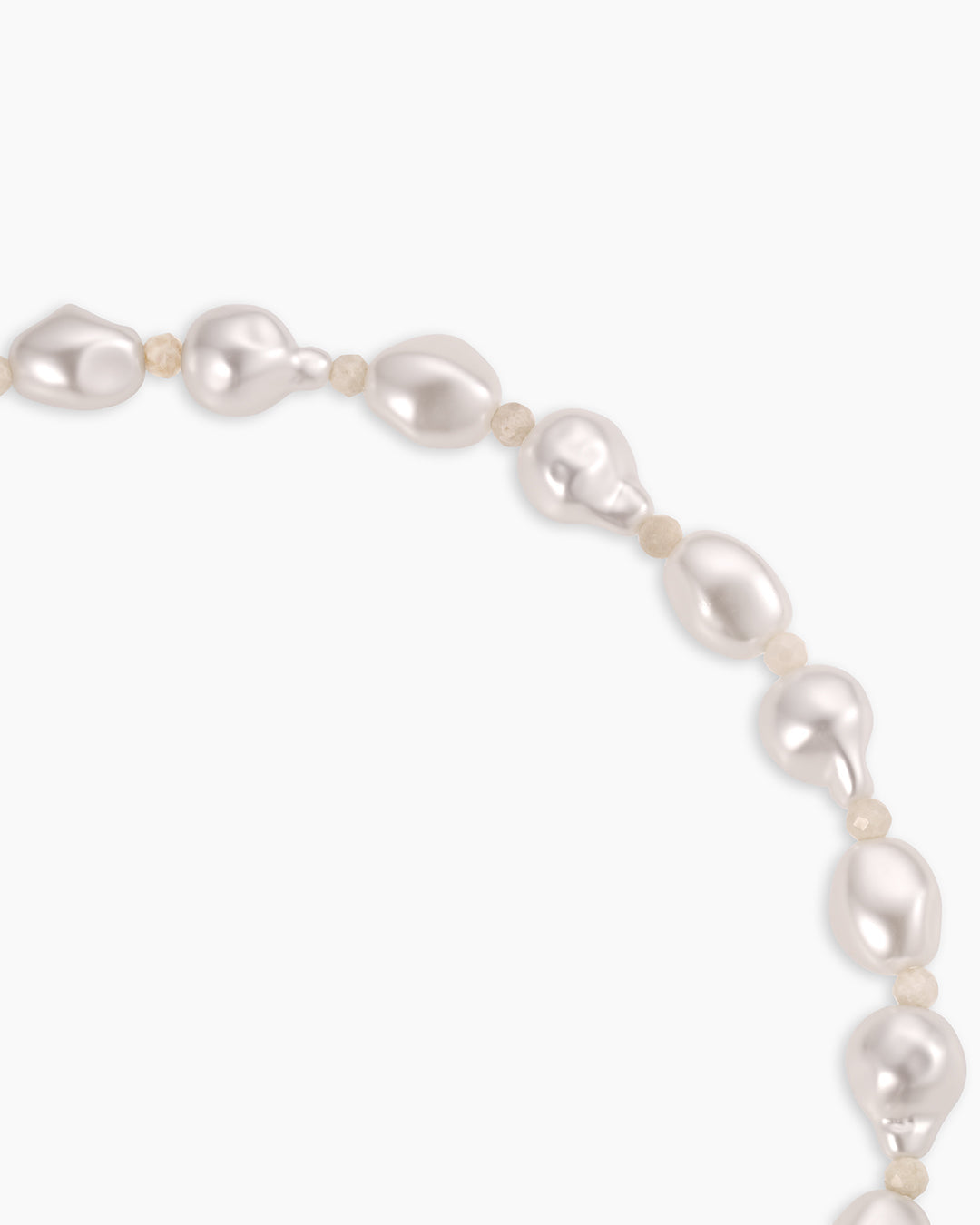 Gold Tulip Shell Charm Necklace