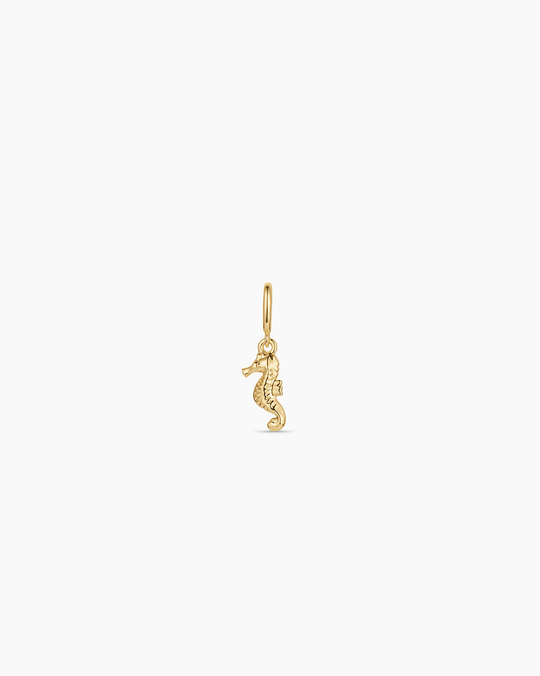 Seahorse Parker Charm